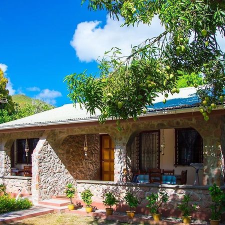 Seashell Self Catering Villa Grand Anse  Rom bilde